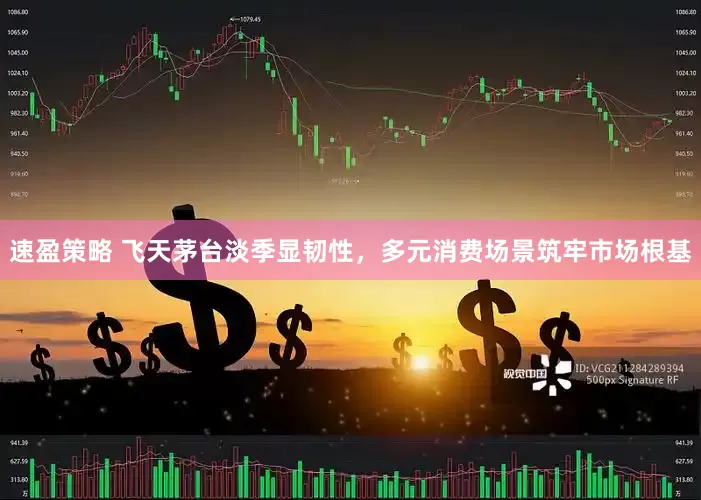 速盈策略 飞天茅台淡季显韧性，多元消费场景筑牢市场根基