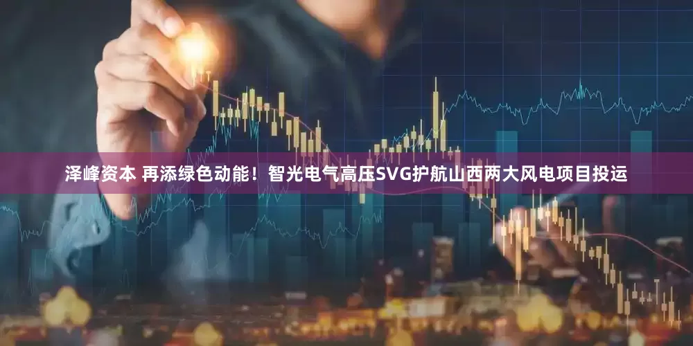 泽峰资本 再添绿色动能！智光电气高压SVG护航山西两大风电项目投运