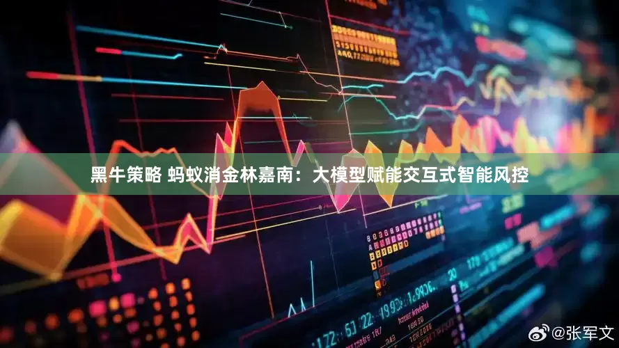 黑牛策略 蚂蚁消金林嘉南：大模型赋能交互式智能风控