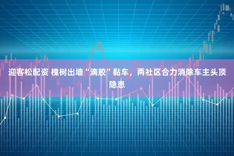 迎客松配资 槐树出墙“滴胶”黏车，两社区合力消除车主头顶隐患