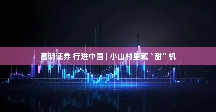 富明证券 行进中国 | 小山村里藏“甜”机
