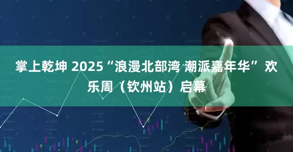 掌上乾坤 2025“浪漫北部湾 潮派嘉年华” 欢乐周（钦州站）启幕