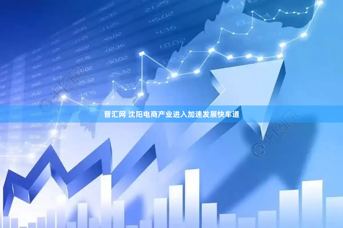 普汇网 沈阳电商产业进入加速发展快车道