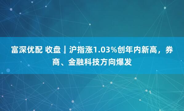 富深优配 收盘｜沪指涨1.03%创年内新高，券商、金融科技方向爆发