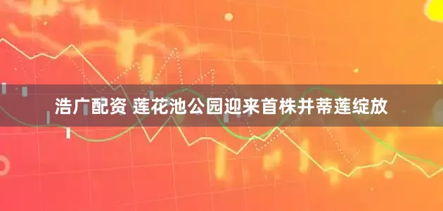 浩广配资 莲花池公园迎来首株并蒂莲绽放