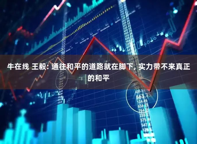牛在线 王毅: 通往和平的道路就在脚下, 实力带不来真正的和平