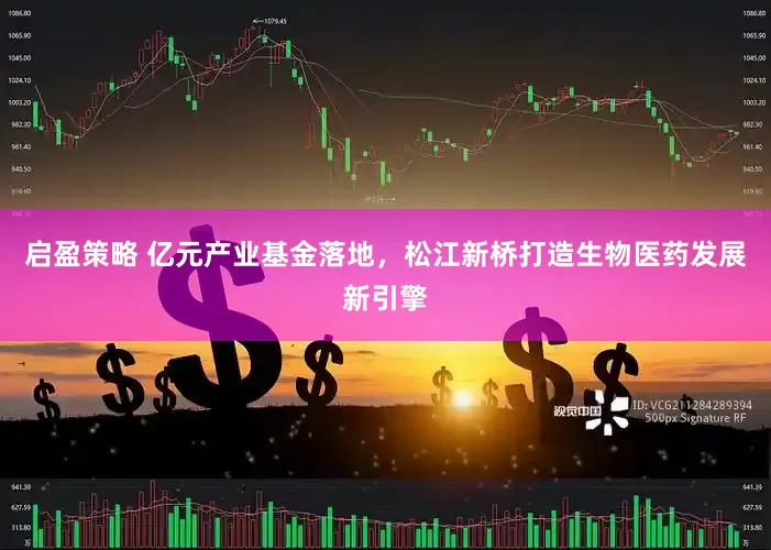 启盈策略 亿元产业基金落地，松江新桥打造生物医药发展新引擎