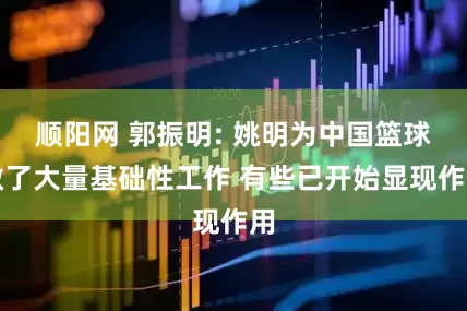顺阳网 郭振明: 姚明为中国篮球做了大量基础性工作 有些已开始显现作用