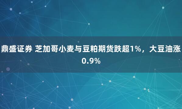 鼎盛证券 芝加哥小麦与豆粕期货跌超1%，大豆油涨0.9%