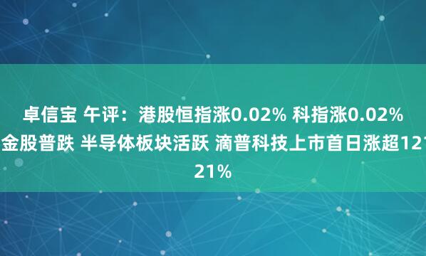 卓信宝 午评：港股恒指涨0.02% 科指涨0.02% 黄金股普跌 半导体板块活跃 滴普科技上市首日涨超121%