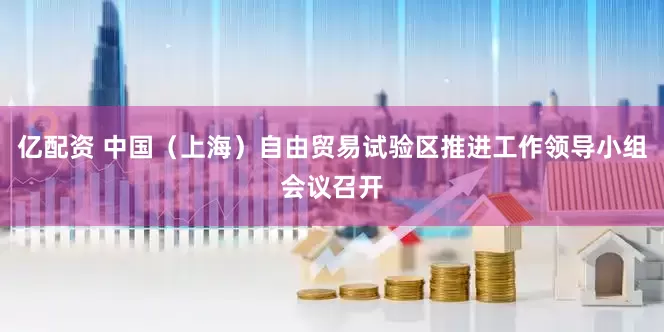 亿配资 中国（上海）自由贸易试验区推进工作领导小组会议召开