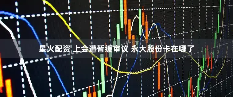 星火配资 上会遭暂缓审议 永大股份卡在哪了